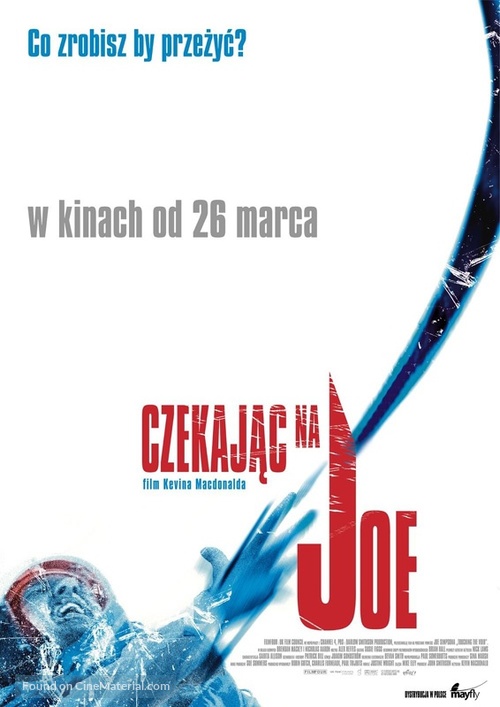 Touching the Void - Polish Movie Poster