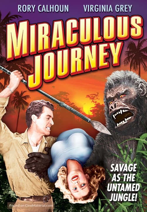 Miraculous Journey - DVD movie cover