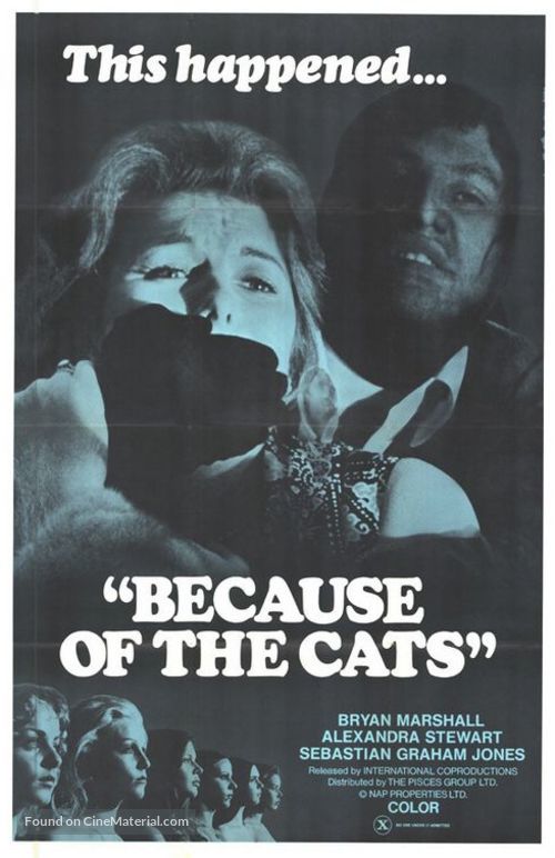 Because of the Cats - Movie Poster