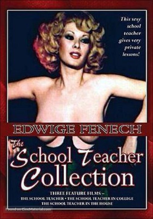 The Schoolteacher Goes to Boys&#039; High - DVD movie cover
