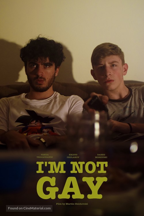 I&#039;m Not Gay - International Movie Poster