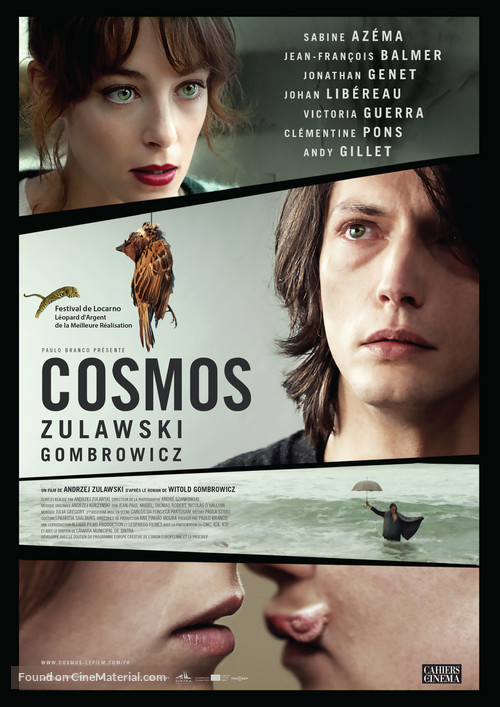 Cosmos - French Movie Poster