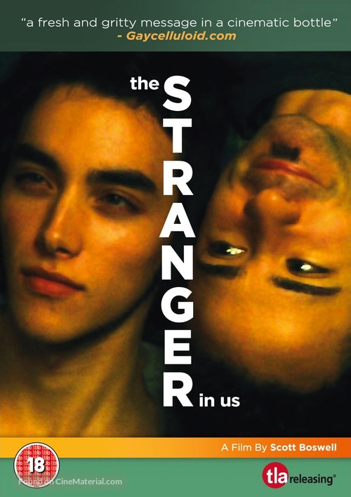 The Stranger in Us - British DVD movie cover