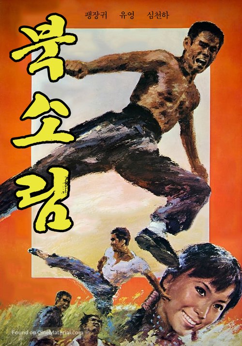 Bei Shao lin - South Korean Movie Poster