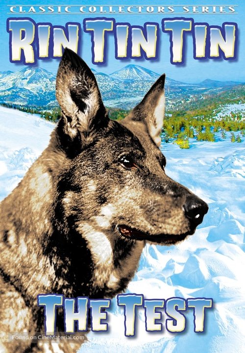 The Test - DVD movie cover