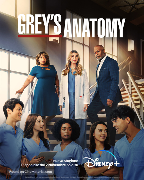 &quot;Grey&#039;s Anatomy&quot; - Italian Movie Poster