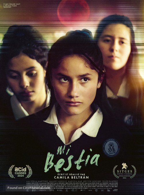 Mi bestia - French Movie Poster