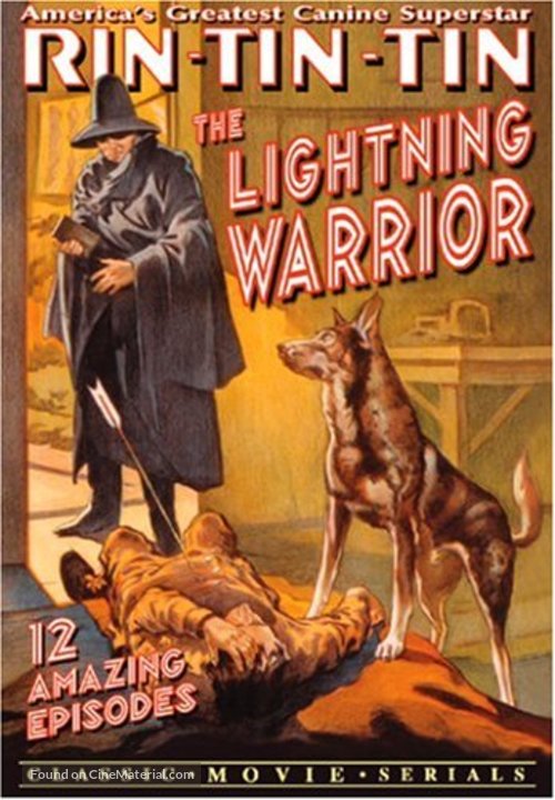 The Lightning Warrior - DVD movie cover
