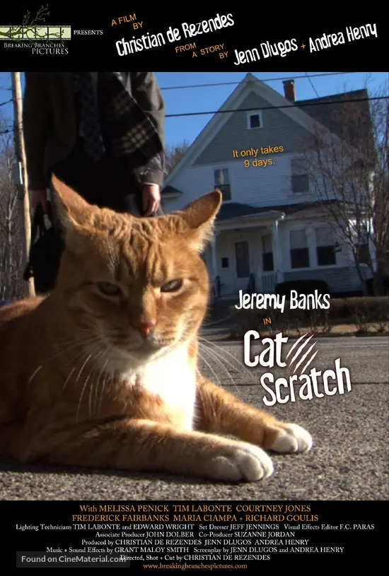 Cat Scratch (2012) movie poster