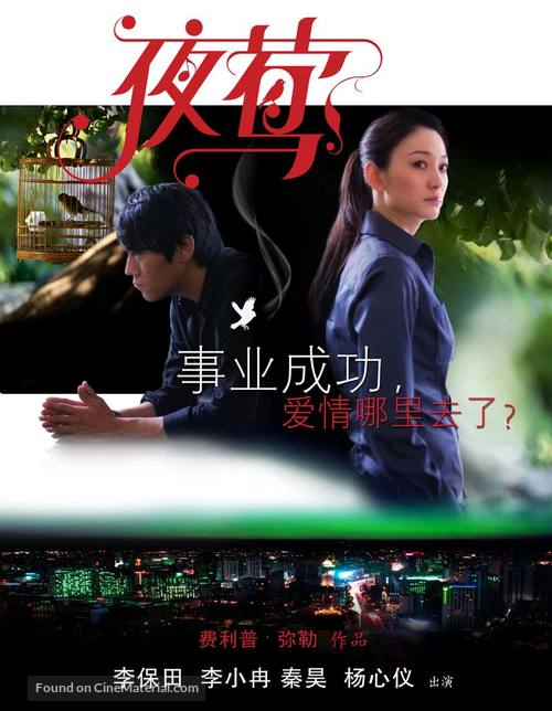 Ye Ying - Le promeneur d&#039;oiseau - Chinese Movie Poster