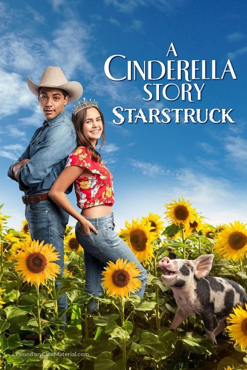 A Cinderella Story: Starstruck - Movie Cover