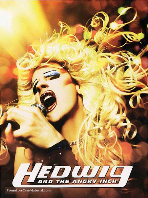 Hedwig and the Angry Inch - French DVD movie cover