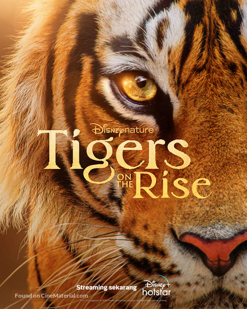Tigers on the Rise - Indonesian Movie Poster