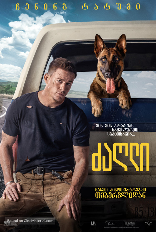 Dog - Georgian Movie Poster