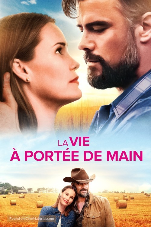 The Lost Husband - French Movie Cover