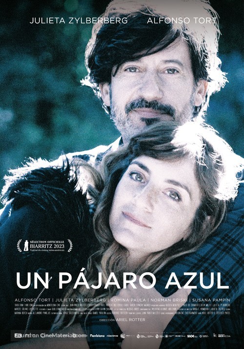 Un P&aacute;jaro Azul - Uruguayan Movie Poster