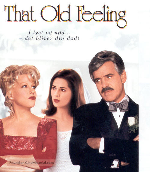 That Old Feeling - Norwegian DVD movie cover