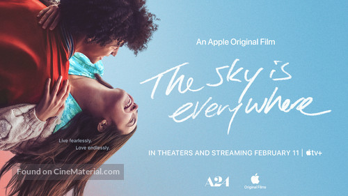 The Sky Is Everywhere - Movie Poster