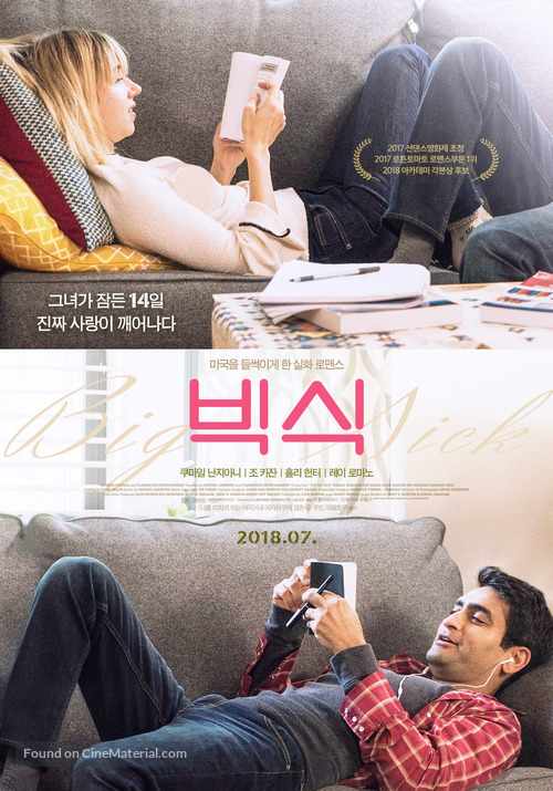 The Big Sick - South Korean Movie Poster