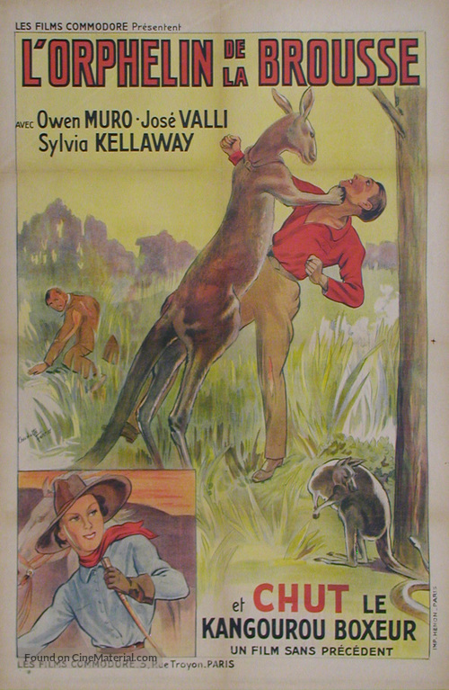 Orphan of the Wilderness - French Movie Poster