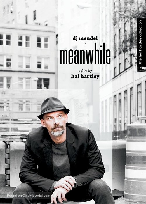 Meanwhile - DVD movie cover