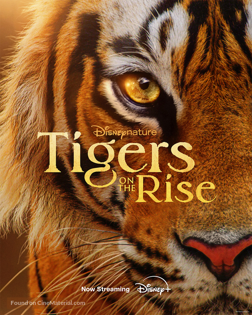 Tigers on the Rise (2024) movie poster