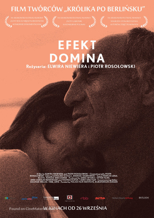 Efekt domina - Polish Movie Poster