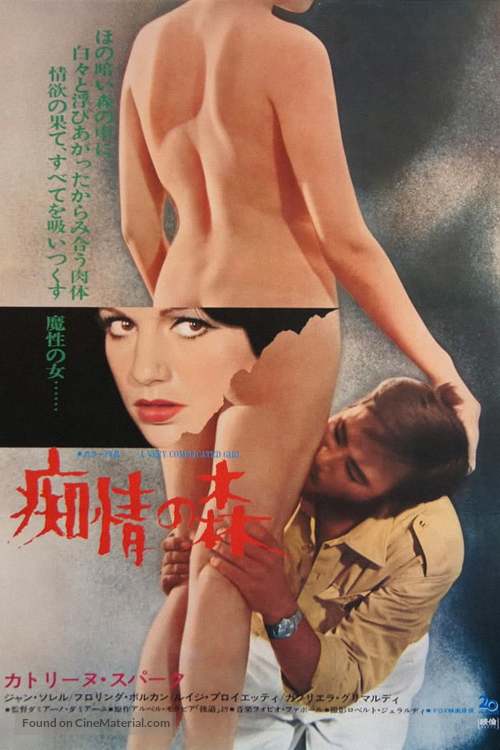 Una ragazza piuttosto complicata - Japanese Movie Poster