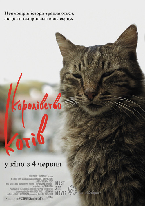 Kedi - Ukrainian Movie Poster