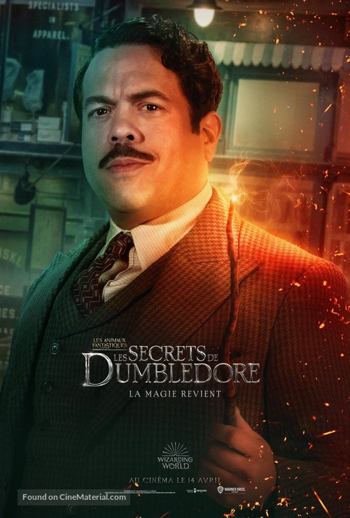 Fantastic Beasts: The Secrets of Dumbledore - French Movie Poster