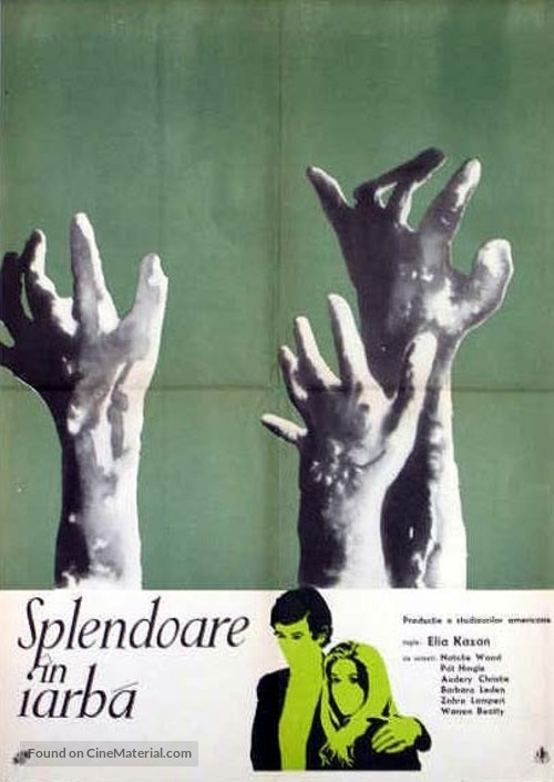 Splendor in the Grass - Romanian Movie Poster