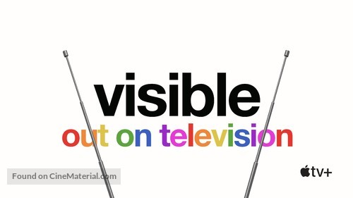 Visible: Out on Television - Video on demand movie cover