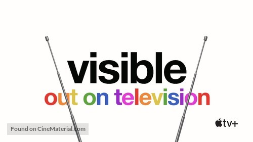 Visible: Out on Television - Video on demand movie cover