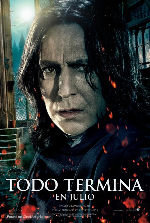 Harry Potter and the Deathly Hallows - Part 2 - Mexican Movie Poster