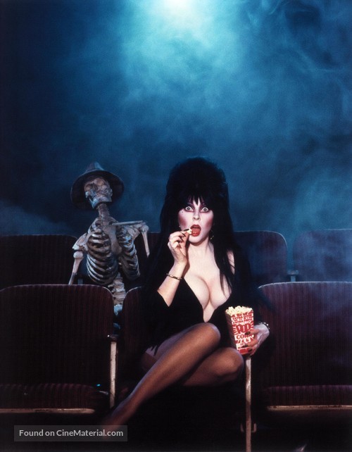 Elvira, Mistress of the Dark - Key art