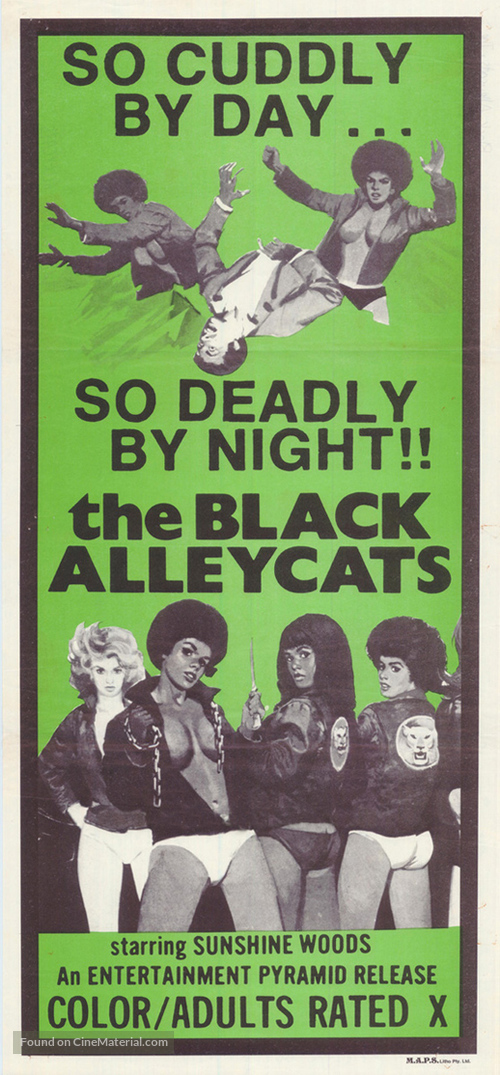 Black Alley Cats - Movie Poster