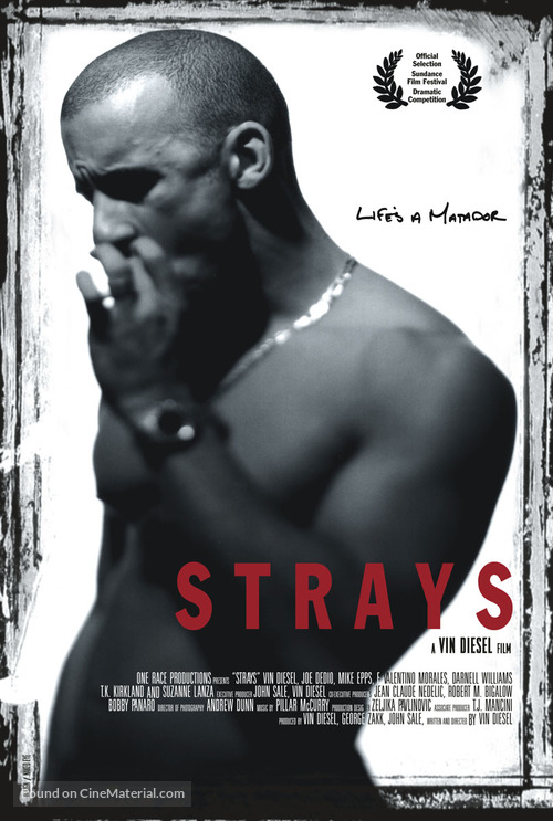 Strays - Movie Poster