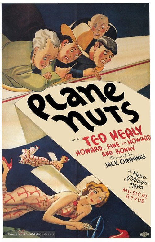 Plane Nuts - Movie Poster