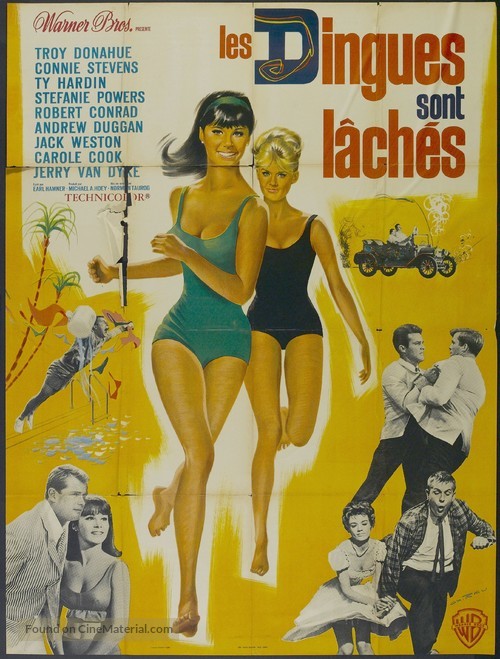 Palm Springs Weekend - French Movie Poster