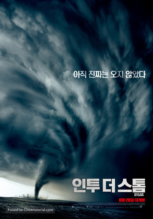 Into the Storm - South Korean Movie Poster