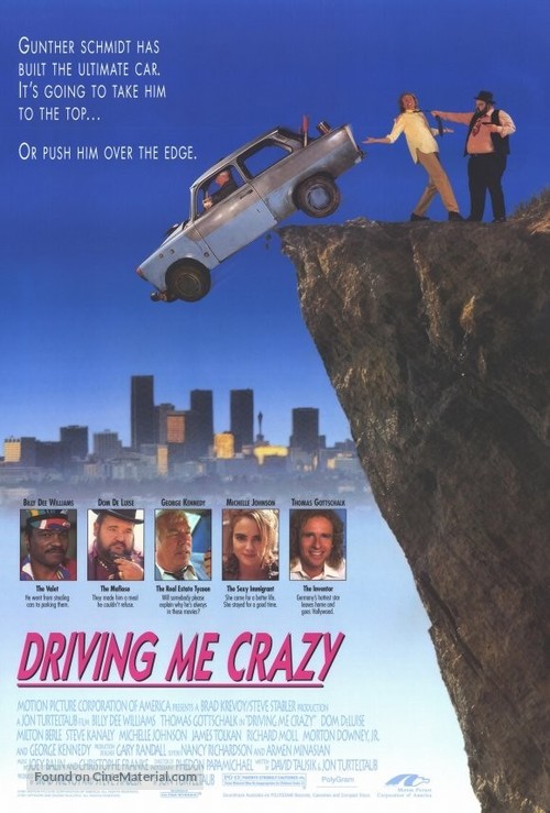 Driving Me Crazy - Movie Poster