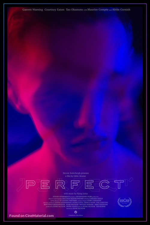 Perfect - Movie Poster