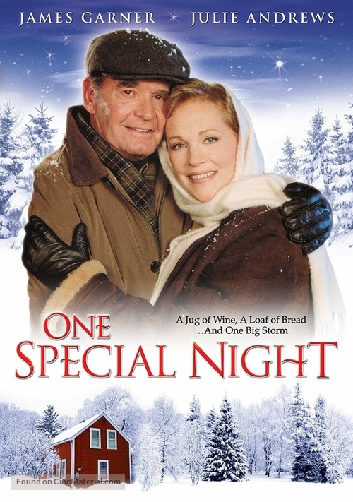 One Special Night - Movie Cover