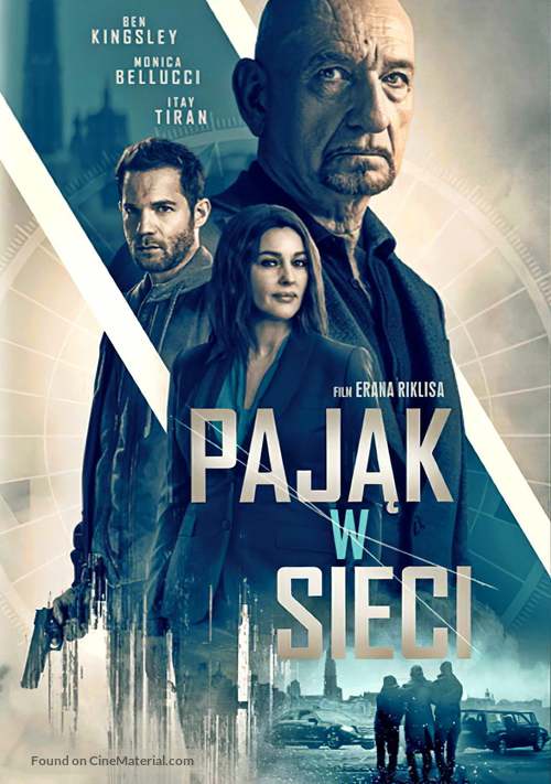 Spider in the Web - Polish Video on demand movie cover