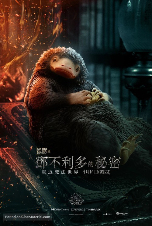 Fantastic Beasts: The Secrets of Dumbledore - Taiwanese Movie Poster