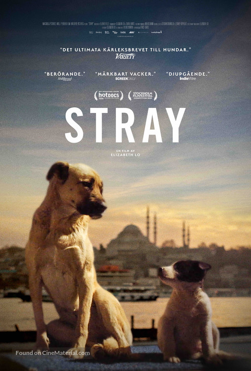 Stray - Swedish Movie Poster