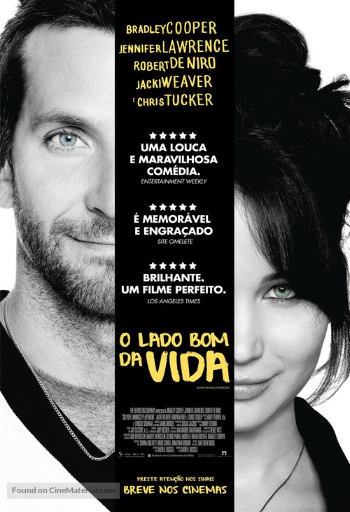 Silver Linings Playbook - Brazilian Movie Poster