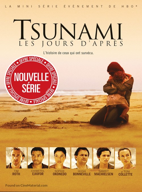 Tsunami: The Aftermath - French Movie Poster