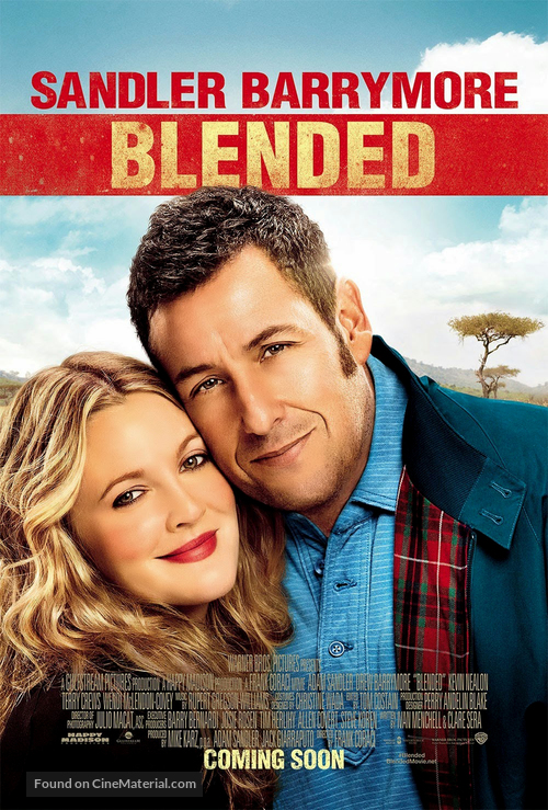 Blended - Movie Poster