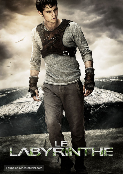 The Maze Runner - French Movie Poster